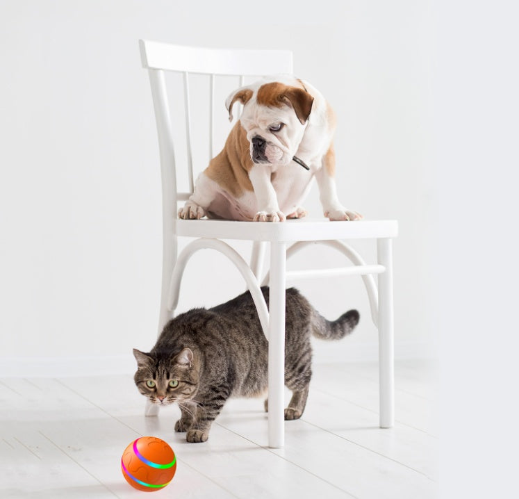 Automatic Rotating Cat Toy Ball